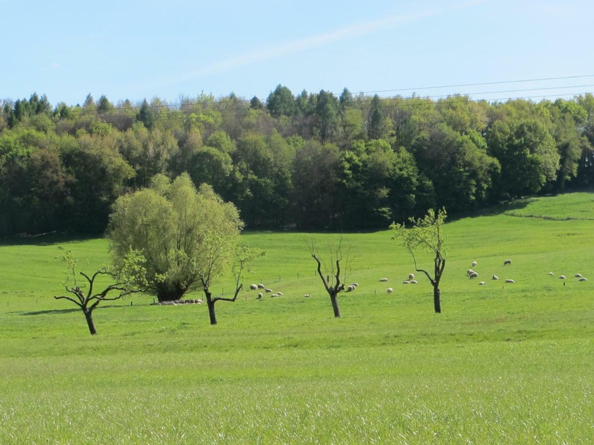 Gites Du Tilleul Gumbrechtshoffen Exteriör bild