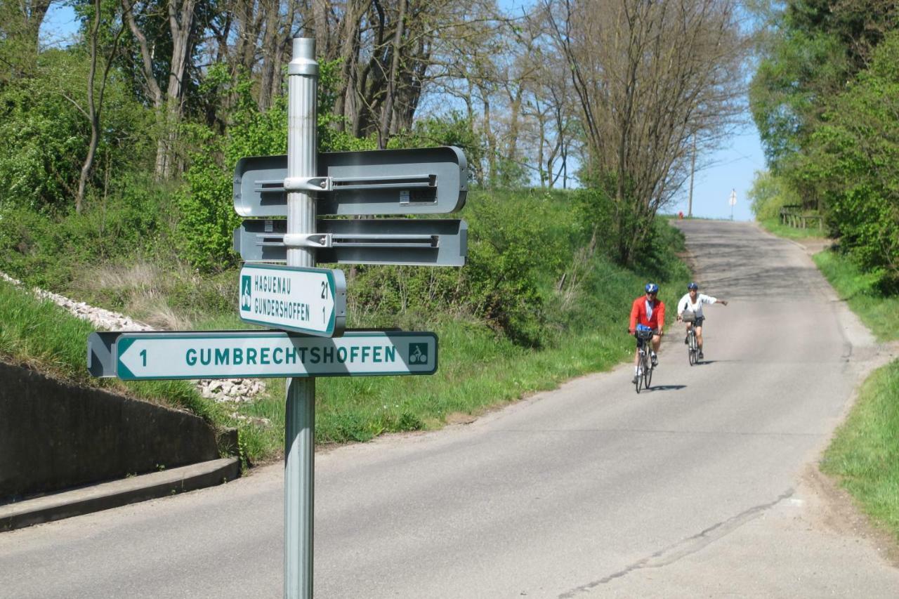 Gites Du Tilleul Gumbrechtshoffen Exteriör bild